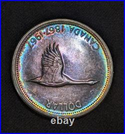 1967 $1 Canada Silver Goose Dollar, Toned
