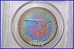 1967 Canadian Silver Dollar PCGS PL66 Super Rainbow Toned Colorful Toning