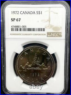1972 Silver Canada Dollar NGC SP-67 with GREAT TONING REVERSE, Very Pretty Coin