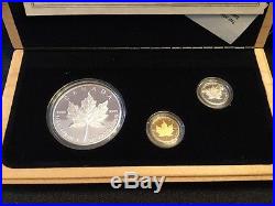 1979-1989 Canada Commemorative Maple Leaf Set Silver Gold Platinum Coins