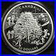 2006_Canada_50_The_Four_Seasons_5_oz_Fine_silver_coin_01_sh