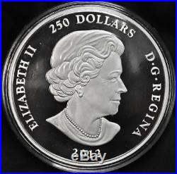 2012 Canada $250 One Kilogram Fine Silver Coin Dragon