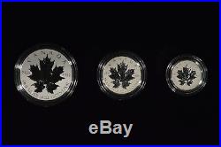 2013 Canada Silver Maple Leaf Fractional 5 Coin Set 25th Anniversary 120674