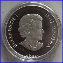 2014 CANADA $100 PURE SILVER MATTE PROOF UNC 1 Oz. Elizabeth II THE BALD EAGLE