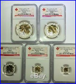 2014 Ngc Pf69 Canada Gilt Reverse Proof Silver Maple Leaf 5 Coin Fractional Set