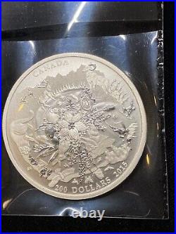 2015 Canada $200 Dollar Piece 2oz Fine Silver Coin Canada's Rugged Mountains