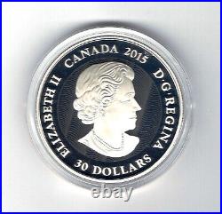 2015 Canada 2 oz Pure Silver Coin Moonlight Fireflies Colourized 62.7 Gram Coin