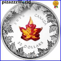 2016 5oz PURE Silver COIN Canada-Murano Maple Leaf-Autumn Radiance RARE Sold out