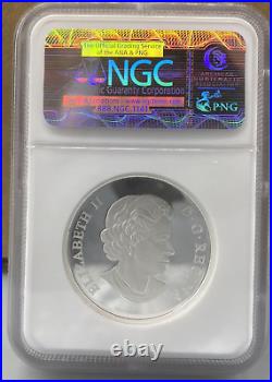2016 Canada Silver Er Grotesque Wild Green Man Coin 9999 Pf70 Uc S$25 Ngc 2016 Canada Silver Er Grotesque Wild Green Man Coin 9999 Pf70 Uc S$25 Ngc