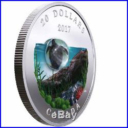 2017 Canada Under Sea Sea Turtle 1 oz Silver Colorized Proof $20 OGP SKU49122 2017 Canada Under Sea Sea Turtle 1 oz Silver Colorized Proof $20 OGP SKU49122