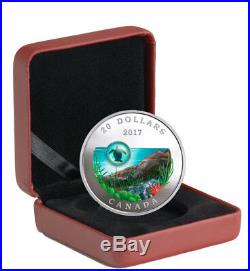 2017 Canada Under Sea Sea Turtle 1 oz Silver Colorized Proof $20 OGP SKU49122 2017 Canada Under Sea Sea Turtle 1 oz Silver Colorized Proof $20 OGP SKU49122