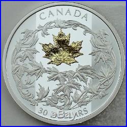 2018 $30 Canada Golden Maple Leaf, 2 oz 99.99% Pure Silver, with 18k Gold Leaf
