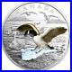 2018_Approaching_Canada_Goose_20_1OZ_Pure_Silver_Three_Dimensional_Proof_Coin_01_fuhn
