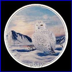 2018 Canada $30 Arctic Animals / Northern Lights Snowy Owl. 999 Silver Colorized