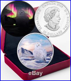 2018 Northern Lights Snowy Owl ArcticAnimals $30 2OZ Silver Coin Canada GlowDark