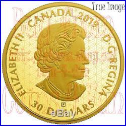 2019 A Hundred Blessings of Good Fortune $30 Pure Silver Gold-Plated Coin Canada