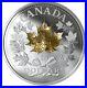 2019_Canada_15_999_3_4_Oz_3D_Golden_Maple_Leaf_Proof_Finish_Silver_Coin_01_ix