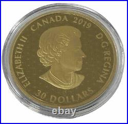 2019 Canada 2oz Fine Silver $30 A Hundred Blessings Of Good Fortune #32-07