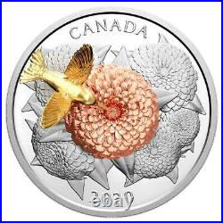 2020 Canada The Hummingbird and the Bloom $50 silver it circles the flower