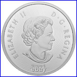 2021 Canada $30 Fine Silver Coin Lake Louise Extraordinarily High Relief 2021 Canada $30 Fine Silver Coin Lake Louise Extraordinarily High Relief