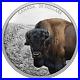 2021_Canada_30_Imposing_Icons_Bison_2_oz_9999_Silver_Coin_2_500_Made_01_vg