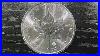 2021_Canadian_Maple_Leaf_1_Ounce_Silver_Coin_Review_01_lu