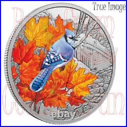 2021 Colourful Birds Blue Jay $20 1 oz. Pure Silver Proof Coin Canada