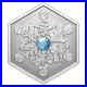 2024_Canada_20_Pure_Silver_Snowflake_1_of_7500_Reverse_Proof_01_fxr