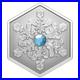 2024_Canada_Snowflake_1_oz_Silver_Reverse_Proof_Coin_withCrystal_Insert_01_sgk