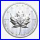 2024_Canadian_MAPLE_LEAF_UHR_Pulsating_Forest_1_oz_Silver_Coin_01_ukzj