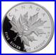 2025_Canada_Triple_Maple_Leaf_Proof_1_oz_Silver_Coin_7_500_Mintage_01_bc