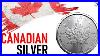 20_Ounces_Of_Silver_Canadian_Maple_Leaf_Coins_Easy_To_Sell_Beautiful_And_Cheaper_To_Stack_01_zsj