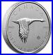 2_Troy_Oz_9999_Silver_2020_10_Canada_Flying_Goose_Bullion_Coin_Uncirculated_01_gigp