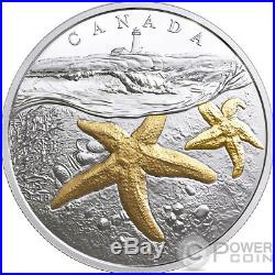 ATLANTIC STARFISH From Sea To Sea To Sea 1 Oz Silver Coin 20$ Canada 2017