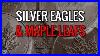 American_Silver_Eagles_U0026_Canadian_Maple_Leafs_Which_Is_Better_999_Vs_9999_Precious_Metal_01_akp