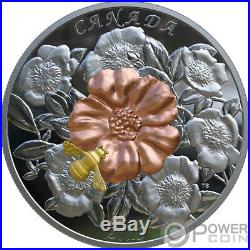BUMBLE BEE AND BLOOM 5 Oz Silver Coin 50$ Canada 2019