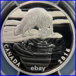 CANADA. 2016, 10 Dollars, Silver PCGS PR70 Top Pop? Reflections Arctic Fox CANADA. 2016, 10 Dollars, Silver PCGS PR70 Top Pop? Reflections Arctic Fox