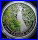 CANADA_20_999_Fine_Silver_1_oz_Coin_Maple_Canopy_Spring_2014_SOLDOUT_01_lay