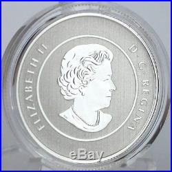Canada 2013 $20 Iceberg and Whale 1/4 oz. Pure Silver (99.99%) Specimen Coin