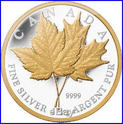 Canada 2013 250$ Maple Leaf Forever 1 Kilo Proof Silver Coin Gilded