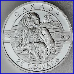 Canada 2013 $25 Polar Bear 1 oz. 99.99% Pure Silver Proof Commemorative Coin