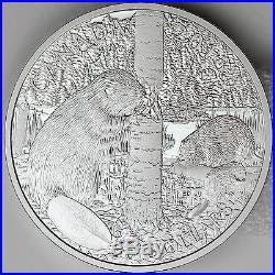 Canada 2013 $50 Beaver Family 5 oz. 99.99% Pure Silver Proof Coin