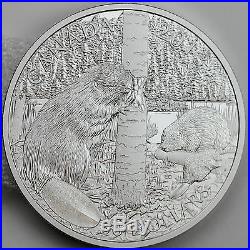 Canada 2013 $50 Beaver Family 5 oz. 99.99% Pure Silver Proof Coin