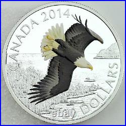 Canada 2014 $20 Bald Eagle Soaring over Northern Lake 1 oz Silver Color Proof