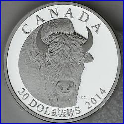 Canada 2014 $20 Bison, A Portrait 1 oz. 99.99% Pure Silver Proof, Edge Lettering