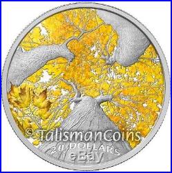 Canada 2014 $20 Pure Silver 1 Oz Maple Leaf Canopy 4 Autumn Allure Color Proof