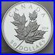 Canada_2014_50_Maple_Leaf_in_High_Relief_5_Troy_oz_Pure_Silver_Proof_Coin_01_qu