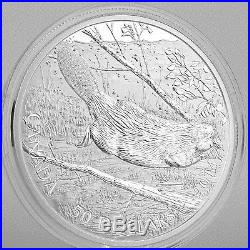 Canada 2014 $50 Swimming Beaver 5 Troy Oz. Pure Silver Uncirculated Proof Coin