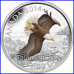 Canada 2014 American Bald Eagle Soaring Day in Life $20 Pure Silver Proof Color