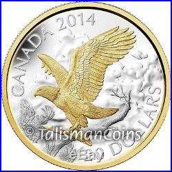 Canada 2014 Bald Eagle Perched Landing Day in Life $20 Pure Silver Gold Plated